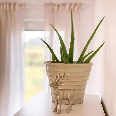 Apartman Ferienwohnung Eifelglueck *