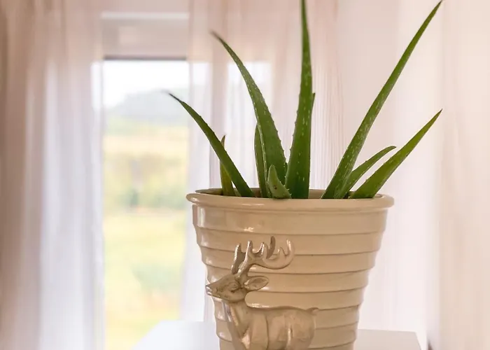 Lägenhet Ferienwohnung Eifelglueck *